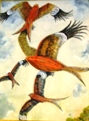 15  Bill Crouch  Red Kites  Acrylic